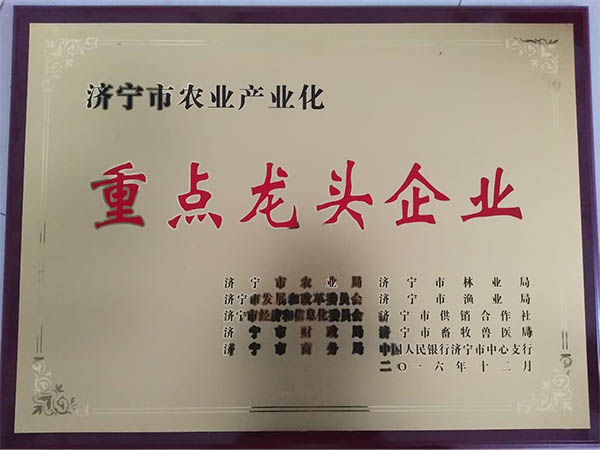 榮譽(yù)資質(zhì)